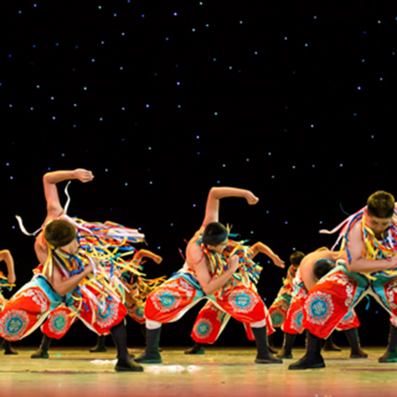 小荷风采小小博客表演服儿童民族舞蹈服装男童蒙古舞演出服表演服