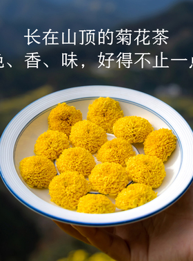 晚桔 菊花茶 黄山皇菊无硫磺支持检测 玩手机熬夜泡水喝养生茶
