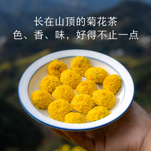晚桔 菊花茶 黄山皇菊无硫磺支持检测 玩手机熬夜泡水喝养生茶