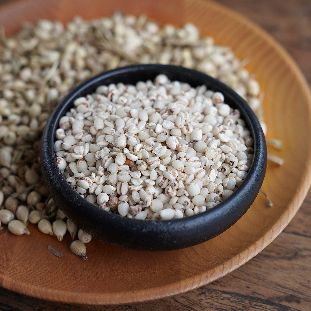 晚桔 高山薏仁米 老品种新鲜脱壳 薏苡仁香味浓且易煮口感粉糯