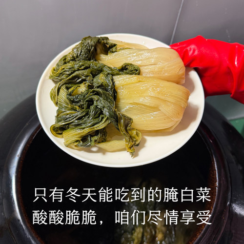 晚桔 酸白菜 酸脆腌酸菜 无添加剂下饭拌面咸菜大缸传统发酵