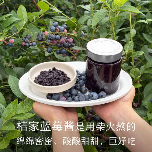 晚桔 蓝莓酱 柴火熬制绵密酸甜无化学添加 泡水干吃果酱蓝莓膏