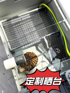 自制手工diy烏龜防越獄曬臺沙盤產(chǎn)蛋池箱PVC龜曬太陽爬臺可定制