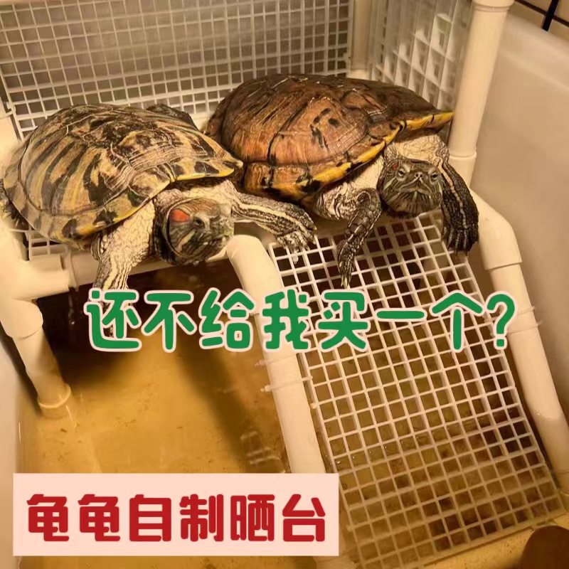 乌龟龟晒背台鱼缸龟缸乌龟防越狱爬台产蛋盒池沙盘龟台可定制尺寸