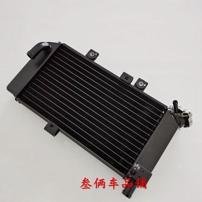 适用春风摩托配件CF250原装散热器风扇春风250NK水箱 NK250散热器