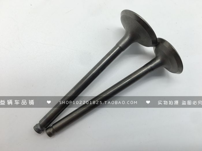 适用于轻骑踏板摩托车韵彩QS100T丽彩QS125T-2进排汽门杆组合气门在类目 摩托车/装备/配件, 摩托车配件, 气门/气门组件中 - 来自Buy2taobao.com提供专业的淘宝代购服务