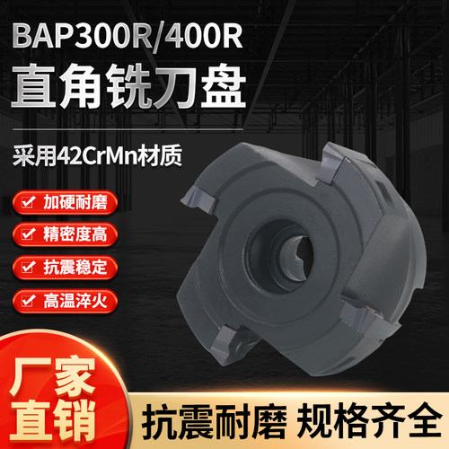 BAP300R/400R直角平面铣刀盘非标