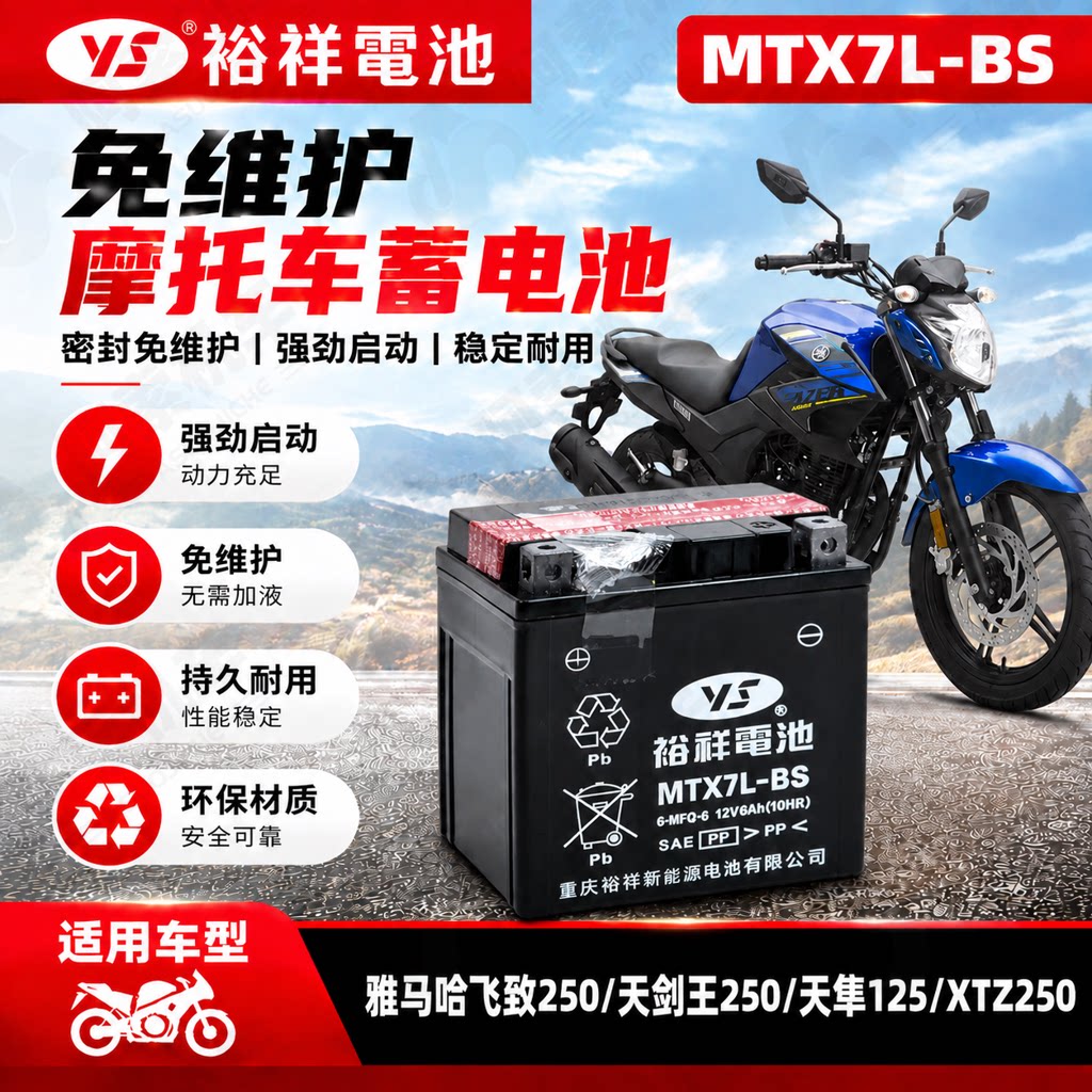 雅马哈摩托车电瓶飞致250天剑王250 禧发110天峻 天隼 正品蓄电池