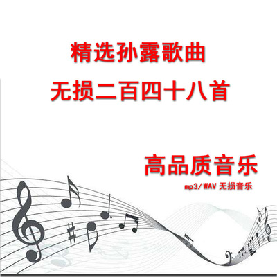 孙露发烧音乐包经典无损车载网络华语MP3网