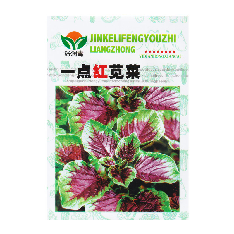 一点红苋菜种子米苋四季播种蔬菜图片
