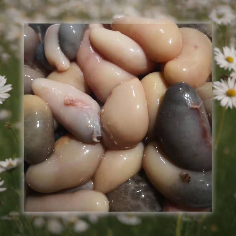 鸡腰子批发 鸡卵 公鸡睾丸 新鲜鸡肾 鸡宝 鸡春 1000g烧烤火锅