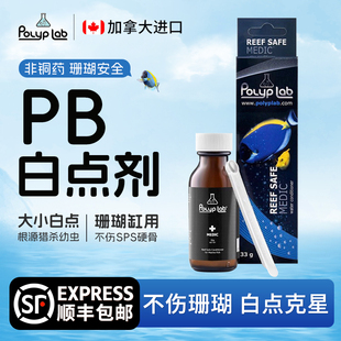 珊瑚缸海水鱼白点加拿大Polyplab药清除海缸大小白点鱼外寄生除虫