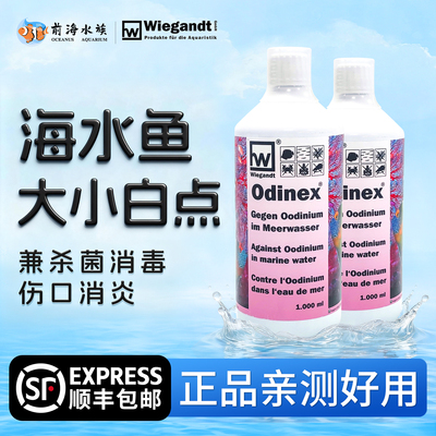 前海水族OX白点水德国海水鱼检疫温和烂肉杀菌消毒消炎