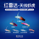红雷达紫雷达大溪地火鸟小型天线火炬虾虎类观赏鱼海水鱼海水缸
