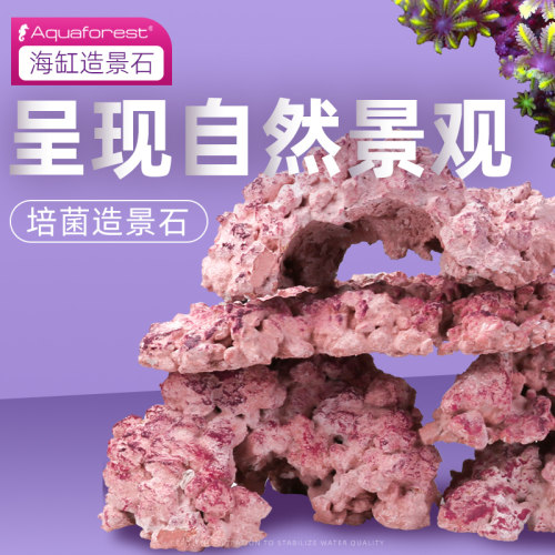 AF造景石海缸珊瑚缸培菌石