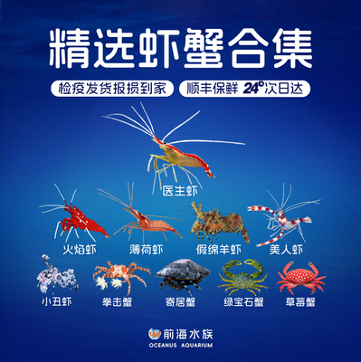 医生虾清洁机械美人薄荷火焰蟹