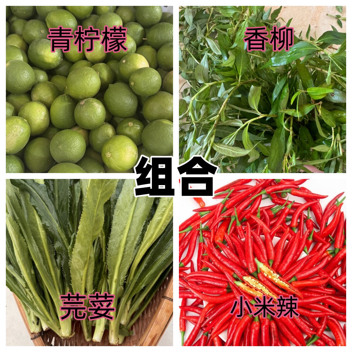 傣味馄饨调料蘸水组合德宏佐料无籽柠檬香柳缅甸芫荽大香菜小米辣