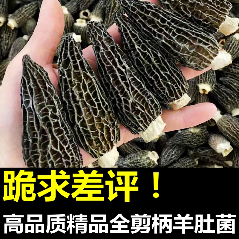 全剪柄羊肚菌干货好货剪脚100g