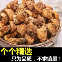 精選品質(zhì)云南姬松茸干貨巴西蘑菇