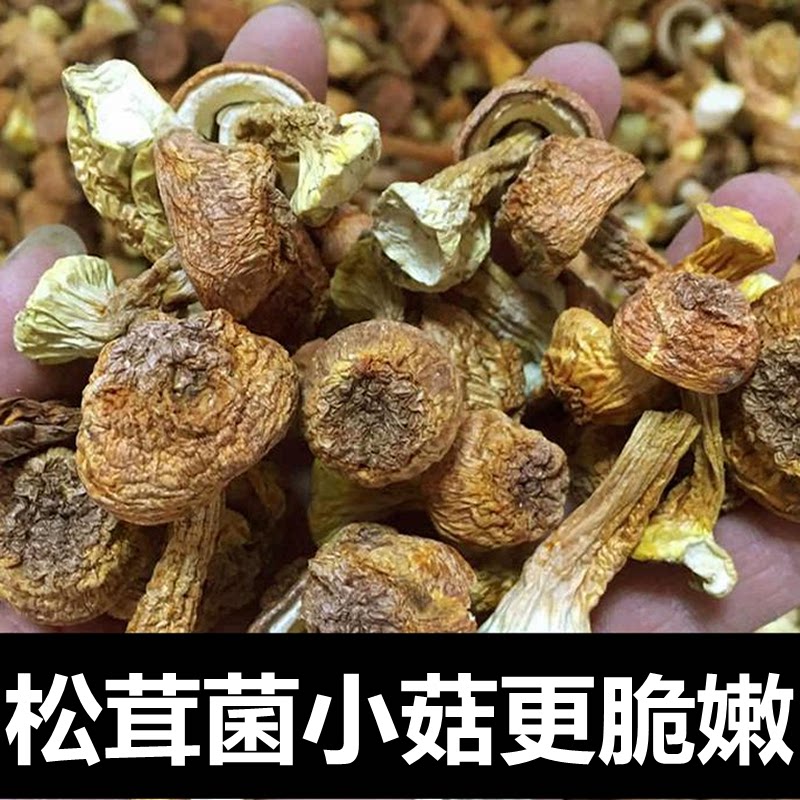 云南姬松茸干货小号个头不开伞菇