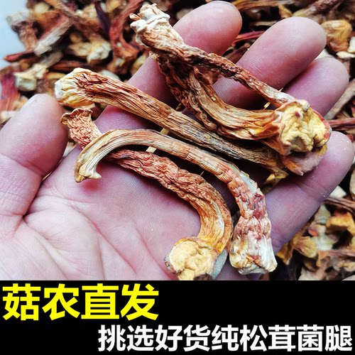 姬松茸菌菇干货脚一级好货腿料