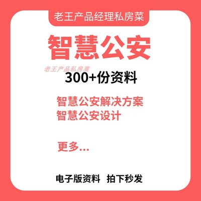 智慧公安解决方案建设白皮书行业报告警务大数据数字化标准规范