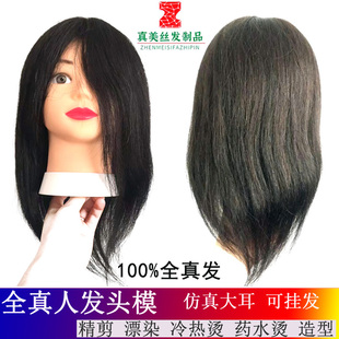全真发大耳朵模特头学徒练习剪发假人头模美发头模可烫染漂剪造型