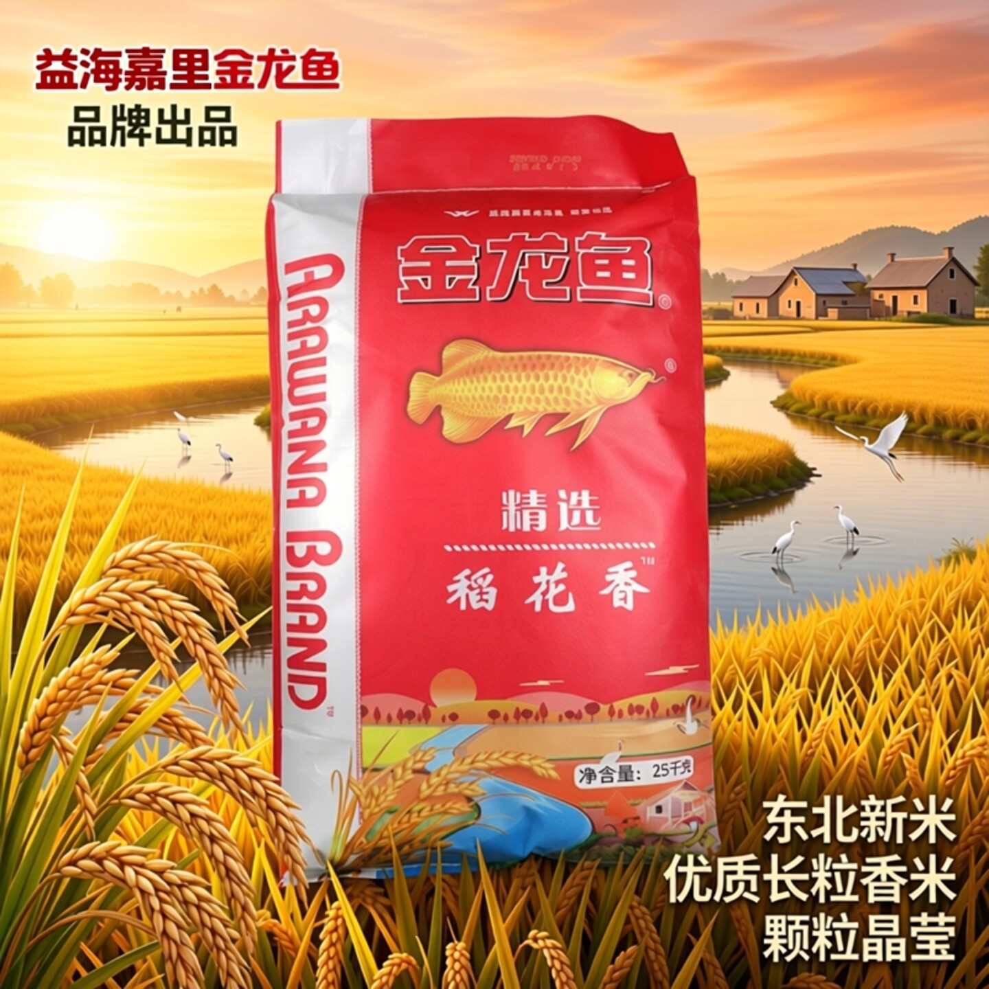 金龙鱼东北大米稻花香50斤装新米优质长粒香米颗粒晶莹金龙鱼大米