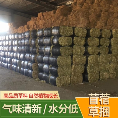 100斤 国产苜蓿草干草牛羊喂马吃的草料奶牛奶山羊草羊驼人气饲料