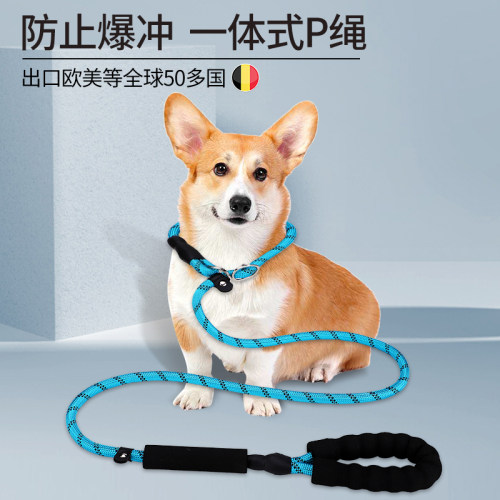 狗狗牵引绳用品一体式p链遛狗狗p绳子小中大型犬防爆冲遛狗绳子