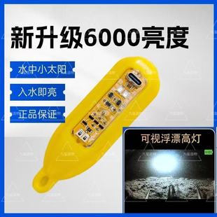 可视锚鱼高灯浮漂水影可视高灯夜视浮漂超高亮度深水浑水诱鱼浮漂