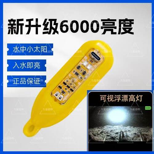 可视锚鱼高灯浮漂无光夜视