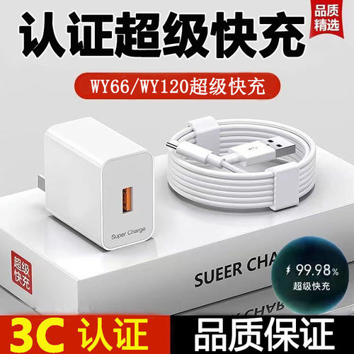 Charger120WSuperFastCharging