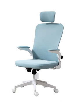 Office chair, computer chair, home sedentary study chair椅子