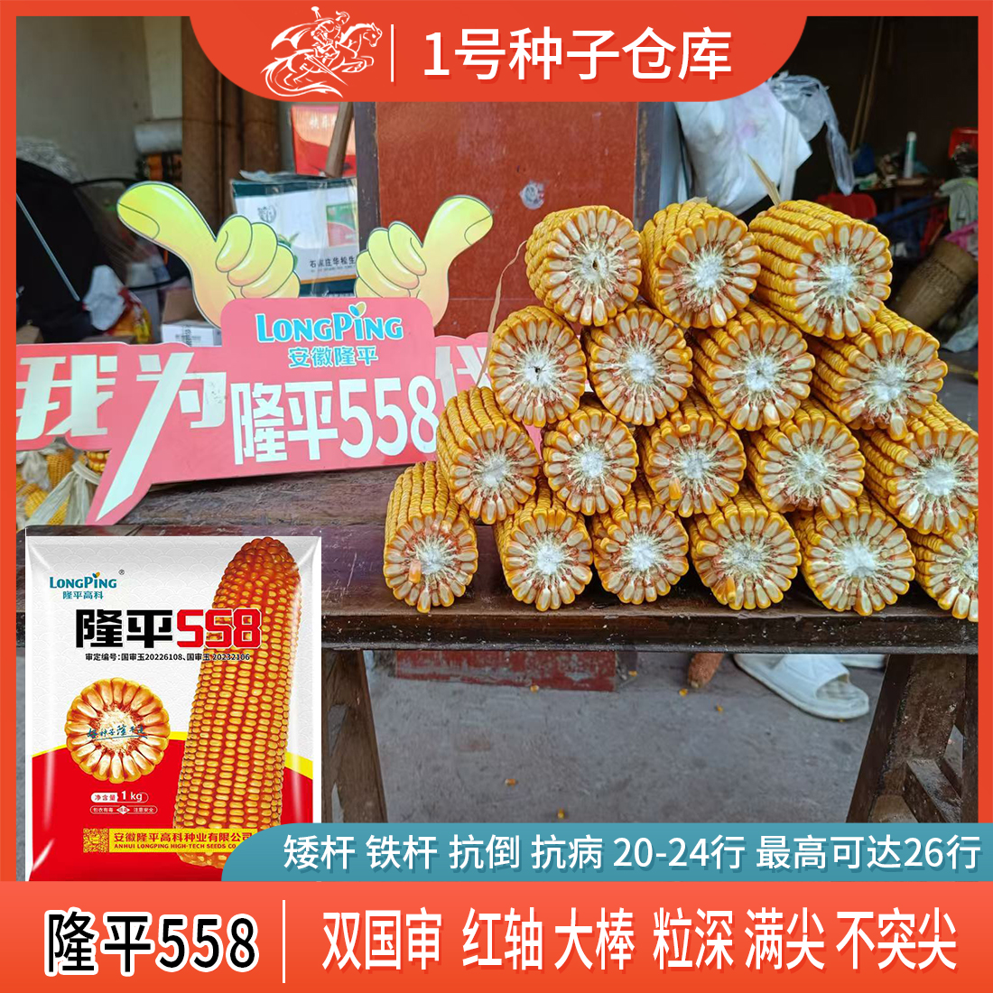 958矮杆抗倒伏大棒杂交种籽