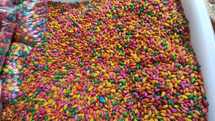 包邮 藏五彩青稞玉米拉萨发货一斤 供曼扎装 西藏海拔3000高原青稞