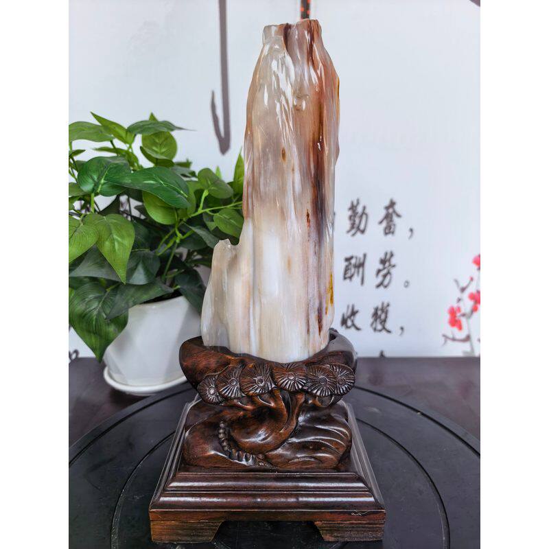缅甸木化玉石原石冰种树化石天然硅化木客厅奇石树化玉桌面摆件
