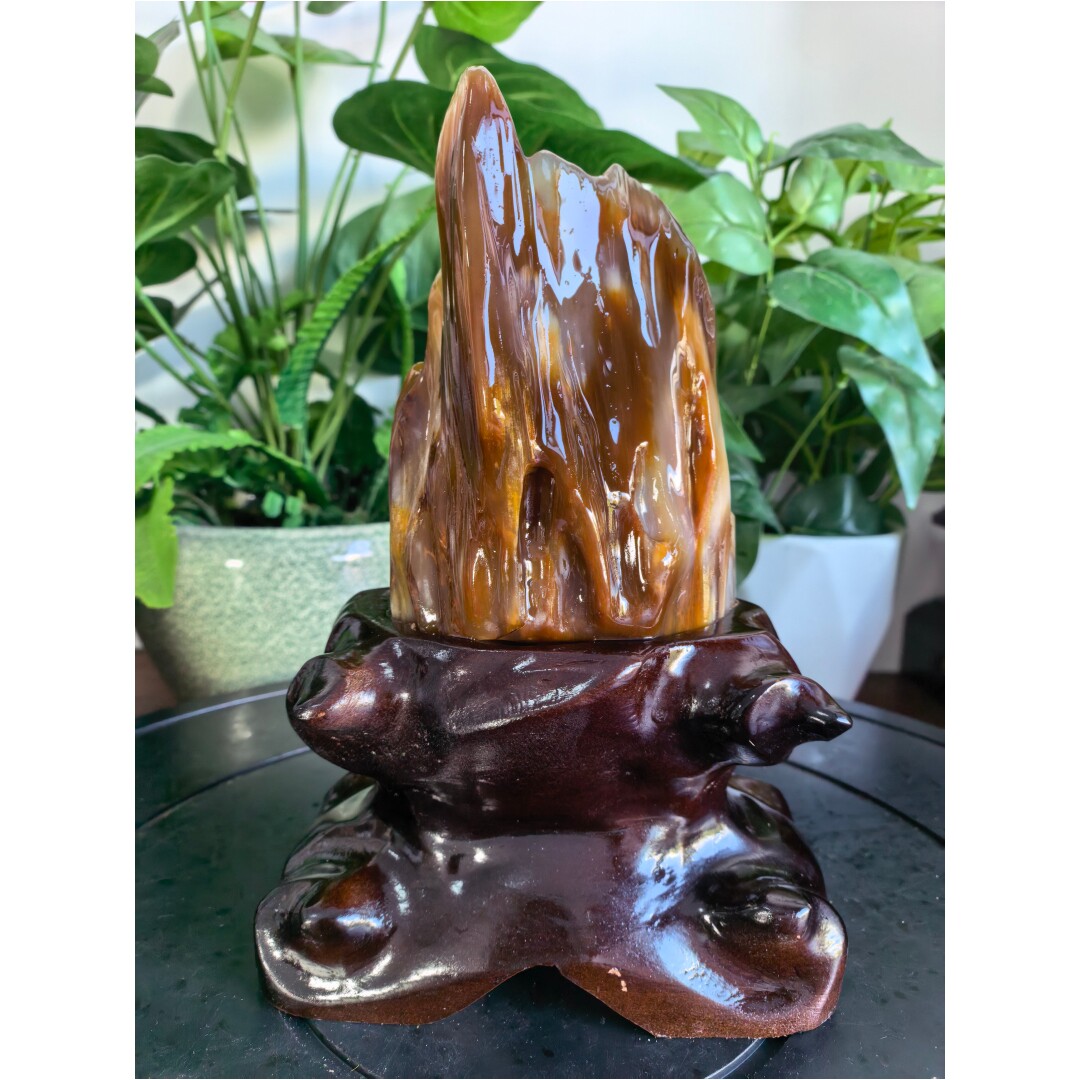 高冰鸡油黄缅甸树化玉原石木化玉石天然桌面奇石收藏观赏石头摆件