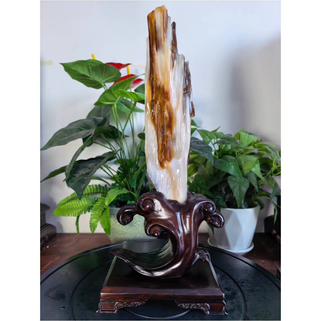 天然木化石缅甸树化石客厅原石奇石收藏观赏石玄关树化玉桌面摆件