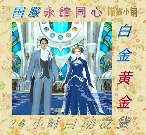 FF14永结同心 幻想药 国服白金方案 黄金方案 商场直升包时装坐骑