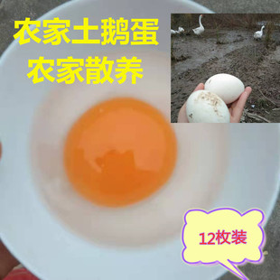 包郵 四川南充土鵝蛋孕婦去胎毒收購放養(yǎng)散養(yǎng)新鮮草純大鵝蛋12枚