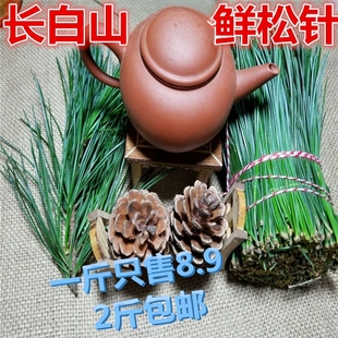 长白山新鲜五针红松五叶松五针松可做酵素非马尾松针两斤包邮