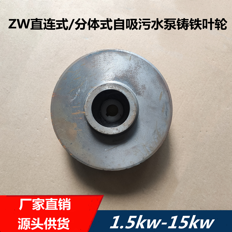 ZW自吸式污水泵排污泵铸铁叶轮