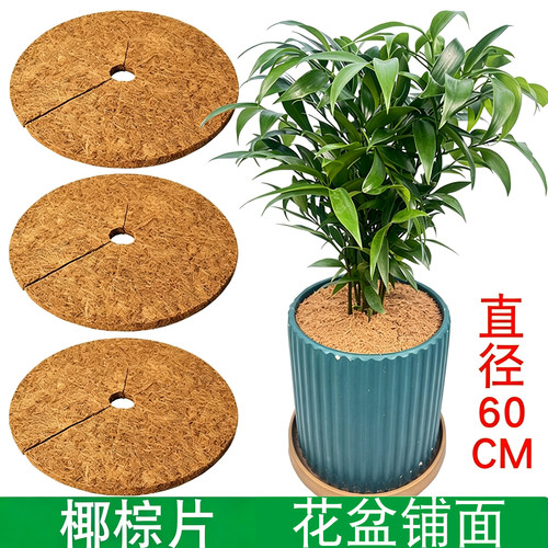 天然椰棕垫花盆盖面保湿保暖