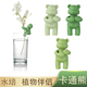 水培绿植固定器植物防倒伏生长伴侣扶正器鱼缸办公室卡通装 饰造型
