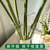 龟背竹支撑杆春羽防倒伏固定器绿植物水培枝干天堂鸟收聚拢定型架
