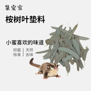 蜜袋鼯专用垫料桉树叶抑菌除臭天然去味蜜袋鼬笼内原生态用品玩具