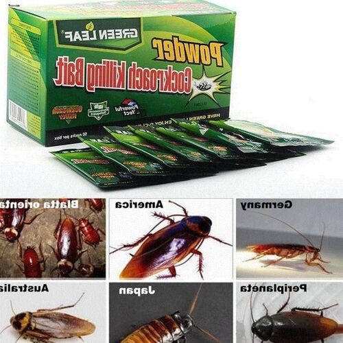 10pcs Cockroach Killer Green Leaves Qing Baits kill German R