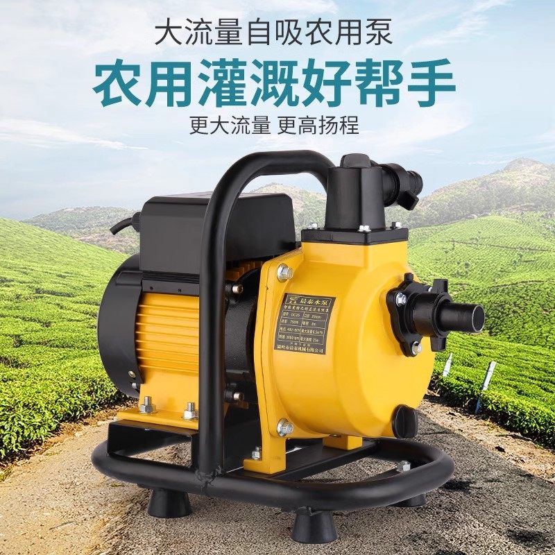 晨泰自吸电瓶水泵农用灌溉直流增压泵油泵24V48V60V浇菜果园灌溉