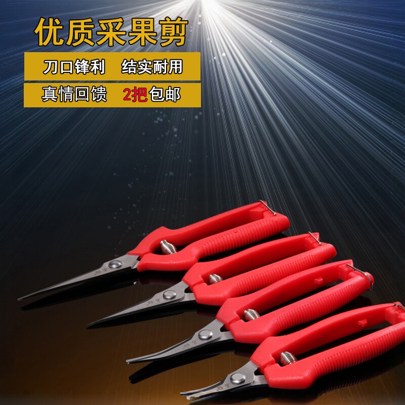稀果剪葡萄采果剪柑橘剪桔子蔬果剪摘果剪果园果树剪采摘剪刀